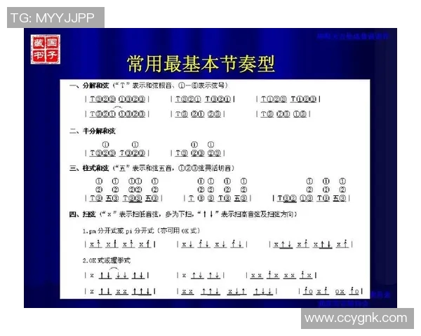 武汉排球队在邀请赛中的节奏表现分析与点评