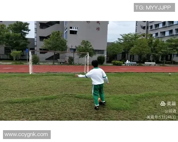 武汉排球队心理素质提升之路:聚焦排球运动中的心理挑战与应对策略 武汉排球队心理素质提升之路:聚焦排球运动中的心理挑战与应对策略