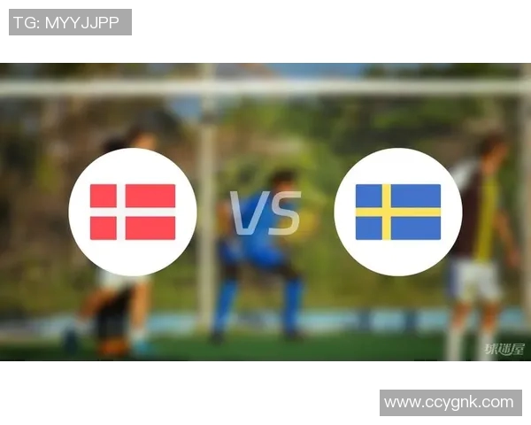 2018年瑞典与丹麦精彩对决全场录像回放及精彩瞬间分析