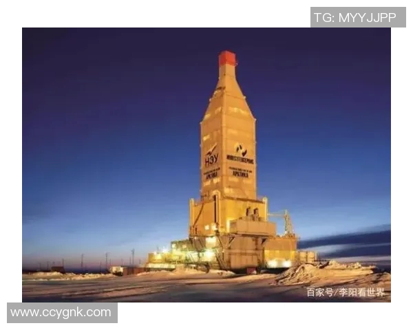 亚马尔地区的能源战略与全球市场的未来发展趋势分析