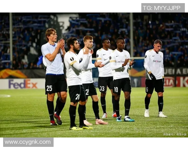 奥德与罗森博格对决分析揭示双方战术与实力差异 奥德与罗森博格对决分析揭示双方战术与实力差异