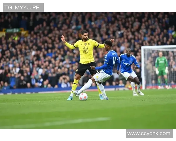 埃弗顿主场迎战切尔西乐视直播精彩赛事不容错过