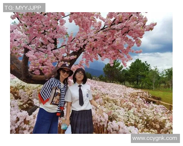 探索布莱克尼的魅力与历史：一段关于文化与自然的奇妙旅程