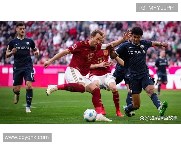 慕尼黑1860与柏林联合的对决揭示德乙联赛的激烈竞争与球队发展潜力