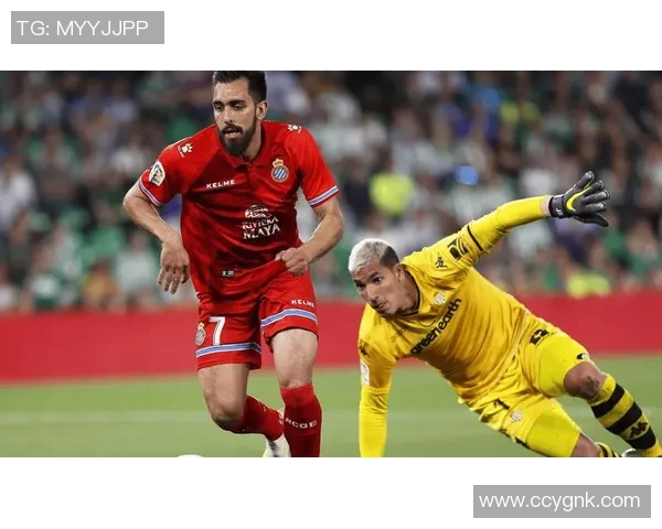 塞尔塔与巴伦西亚历史交锋记录分析及战绩回顾