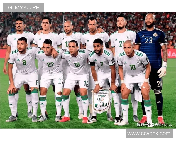 尼日利亚与阿尔及利亚足球对决全面分析及战术解读