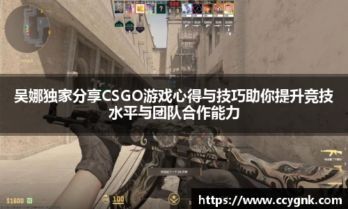 吴娜独家分享CSGO游戏心得与技巧助你提升竞技水平与团队合作能力
